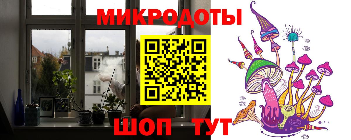 Галлюциногенные грибы Psilocybe Муравленко