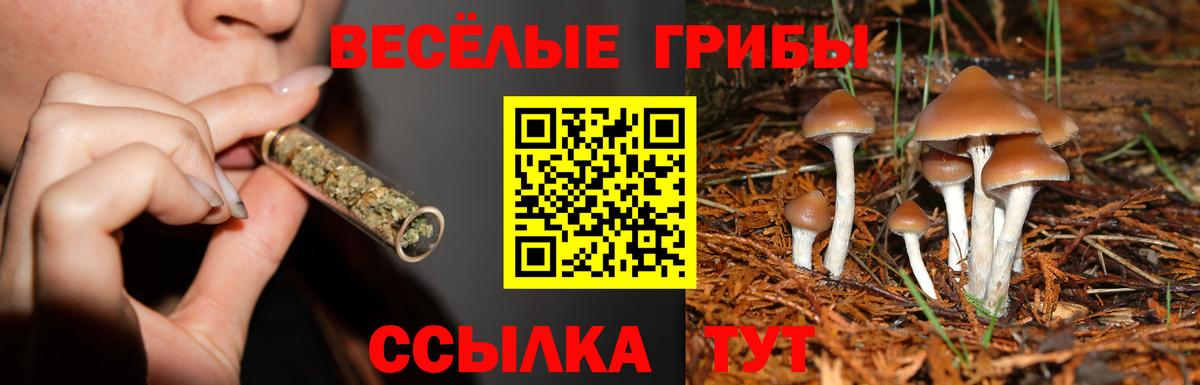 Муравленко  Галлюциногенные грибы MAGIC MUSHROOMS  Вход с VPN 